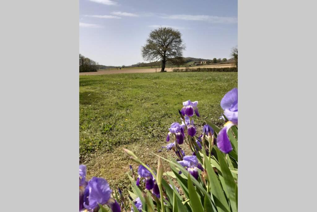 Gite Du Clos Baste Moncaup  Exterior foto